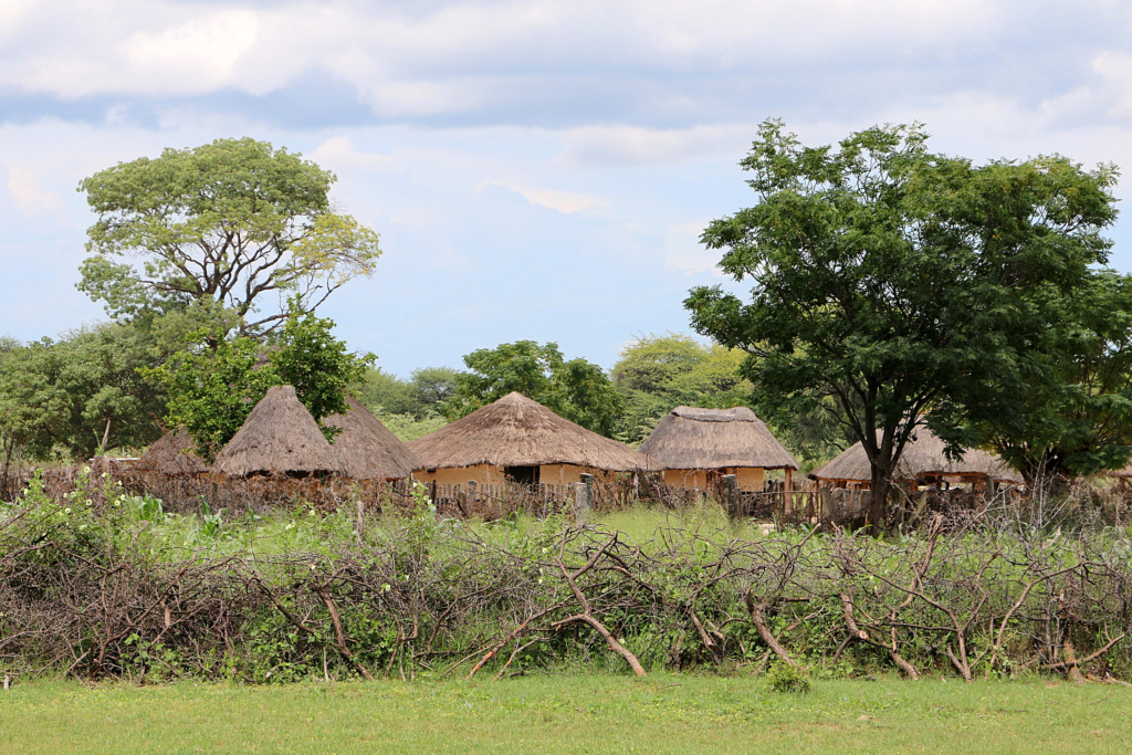 Ngamo village 