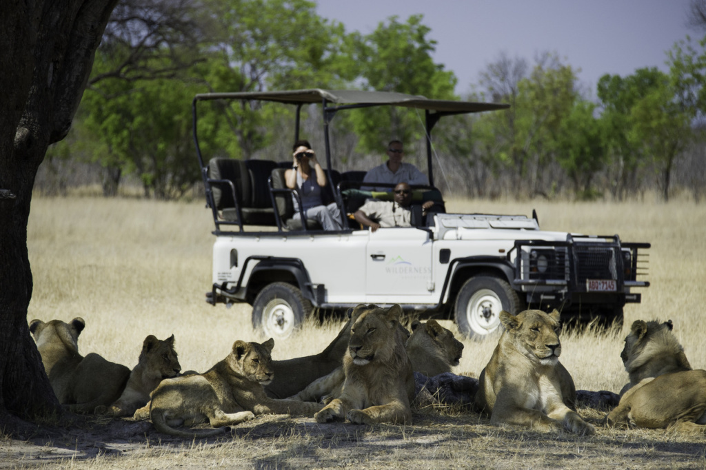 Conservation, on safari jeep watching lions