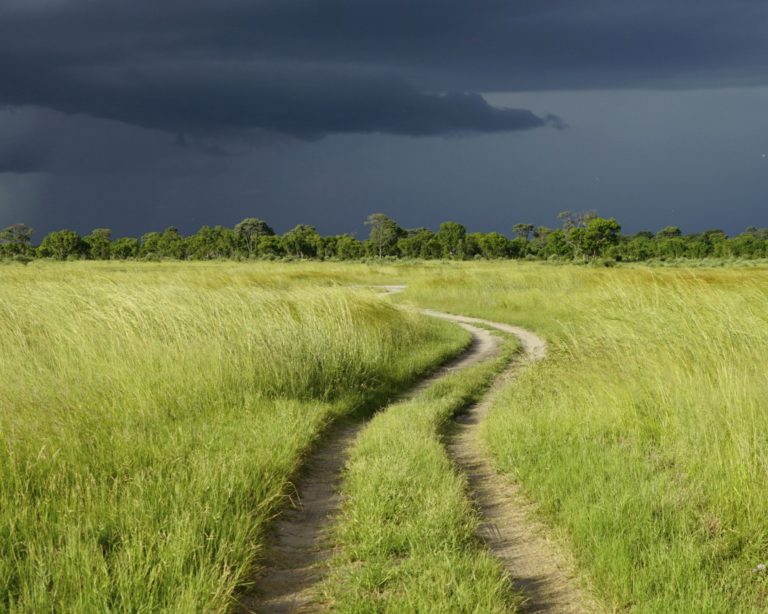 Africa Calls Tasimba dark sky