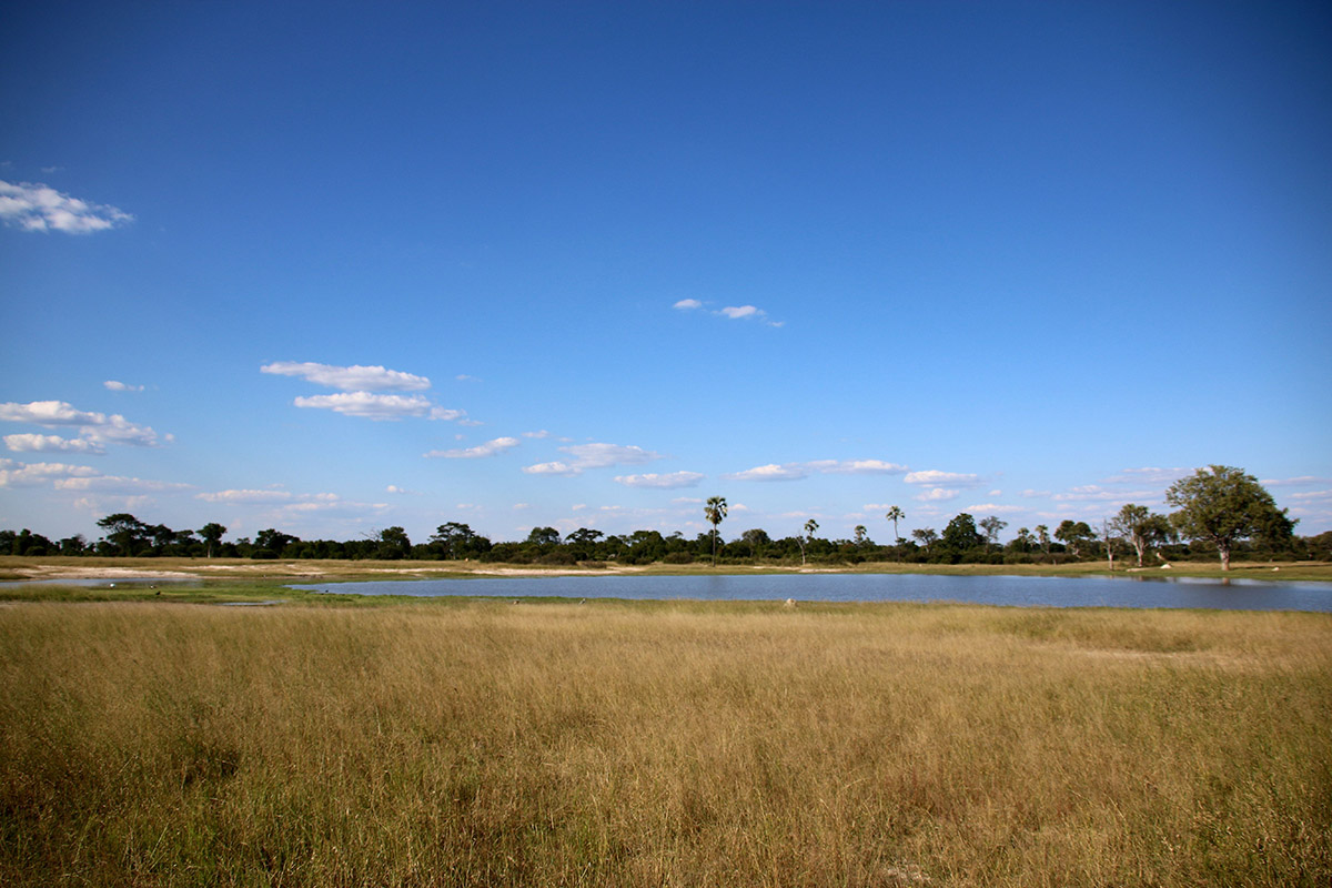 Tasimba - landscape - The Wilderness Will Refresh You