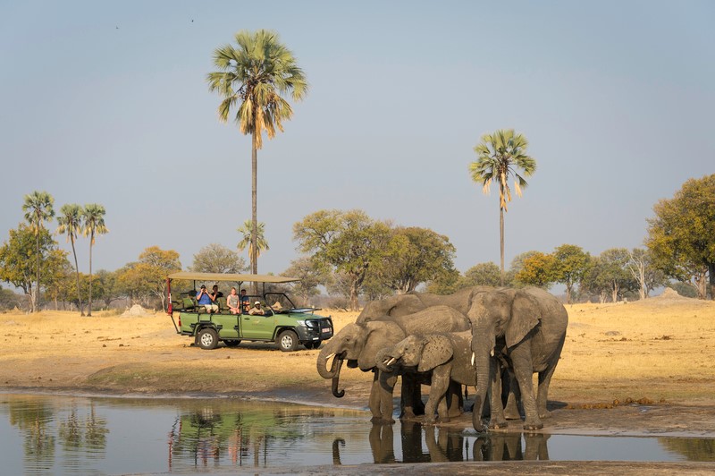 Tasimba Safari - Longer Stays - Elephants at waterhole