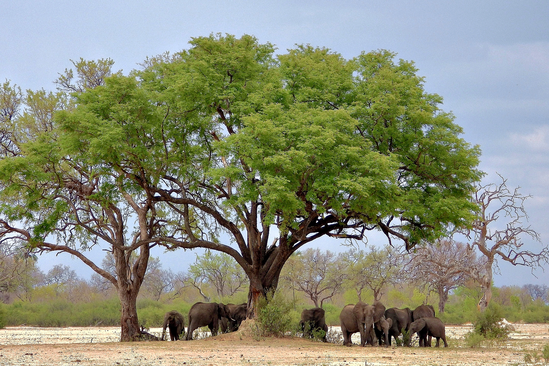 #121: Experience Africa Time