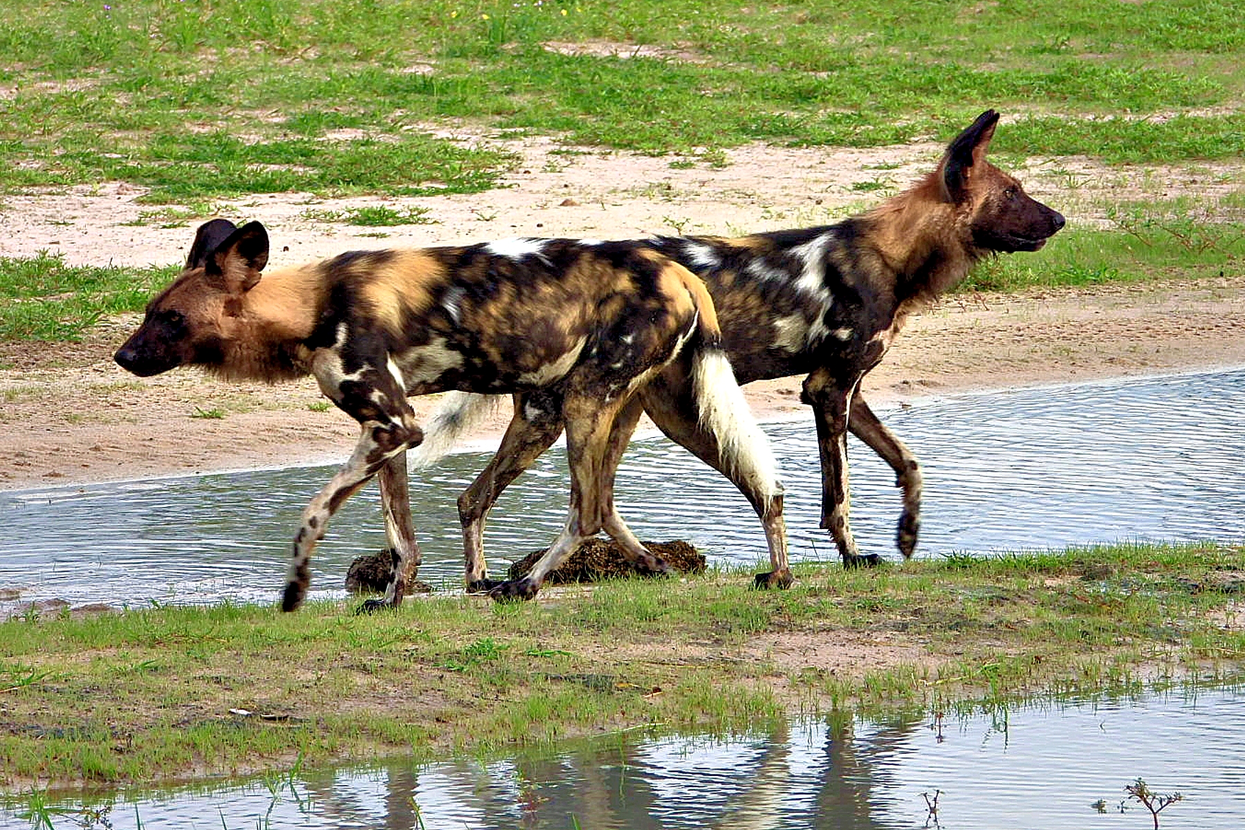 #122: Experience “You Had to be There!”