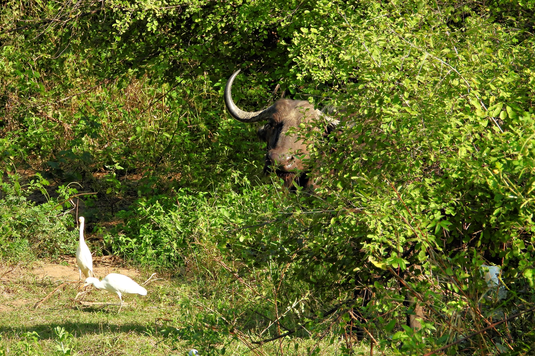 #123: Experience the Art of ‘Seeing’